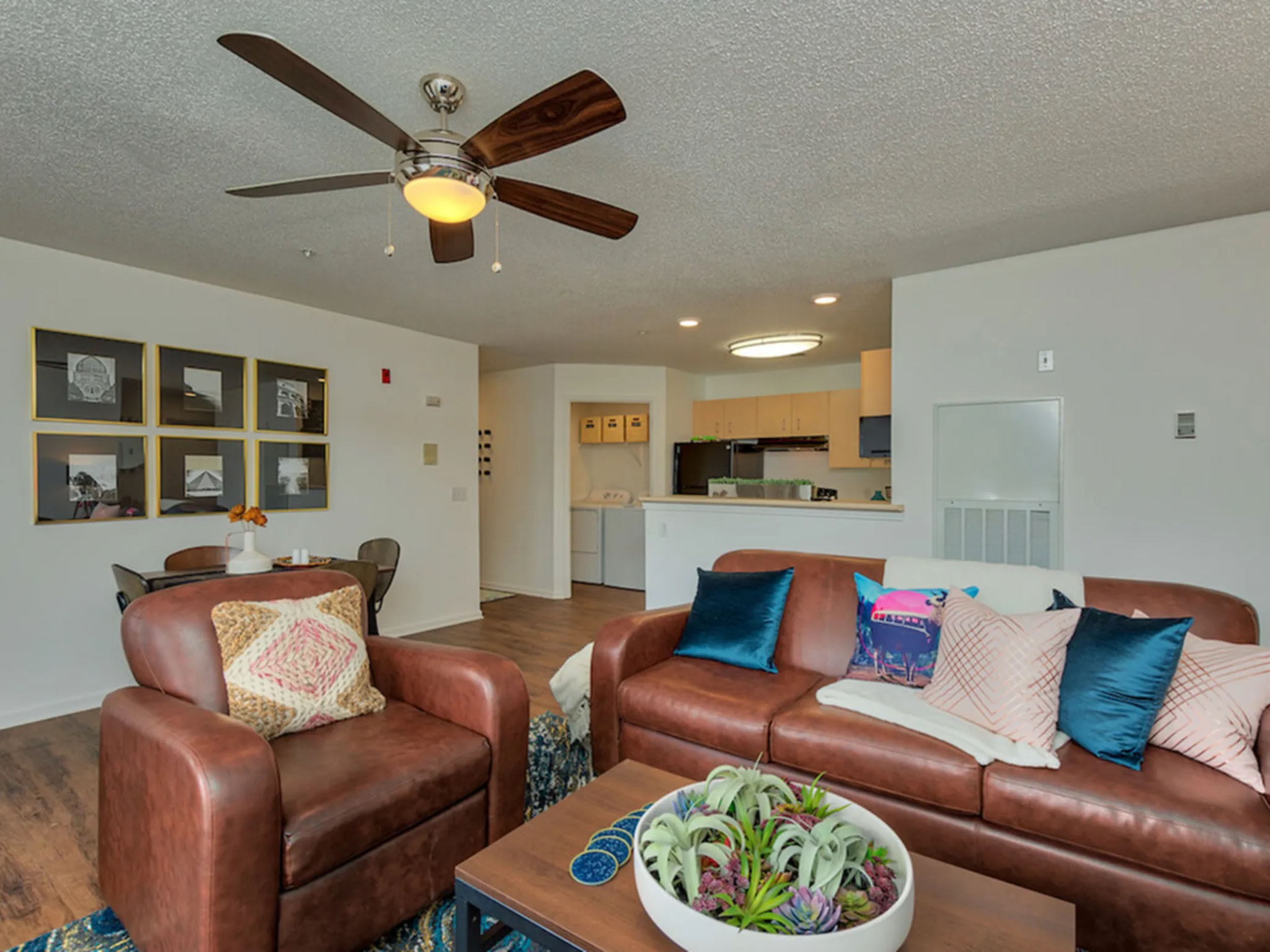 A cozy living room featuring a ceiling fan and stylish leather furniture