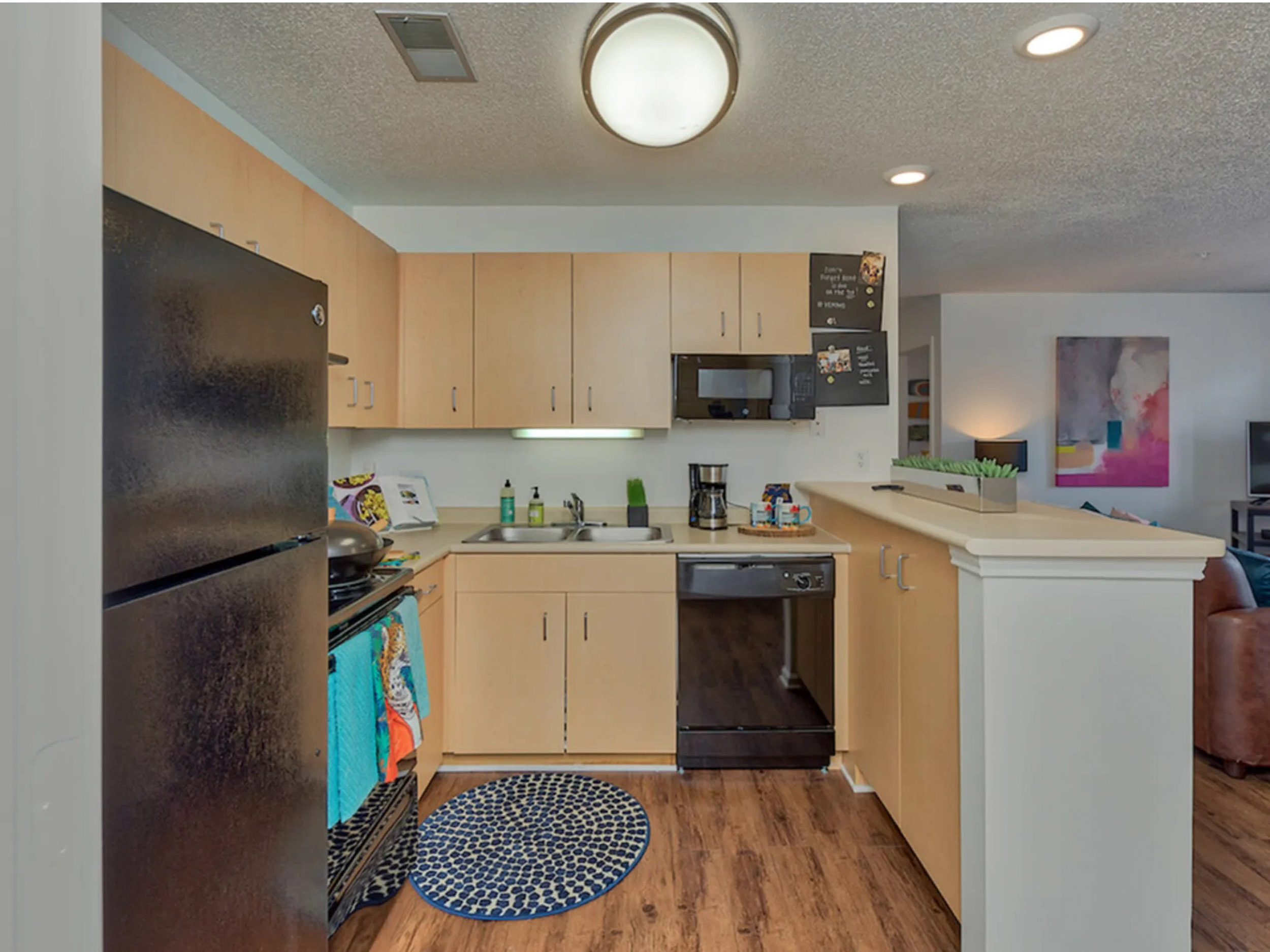 a kitchen with a black refrigerator and a black fridge
